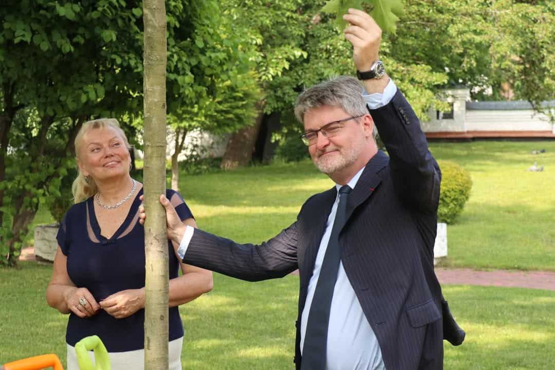 Дуб Анни Київської у Софії: як донька Ярослава стала королевою Франції Висадка дуба на честь Анни Київської на території заповідника Софія Київська, червень 2025