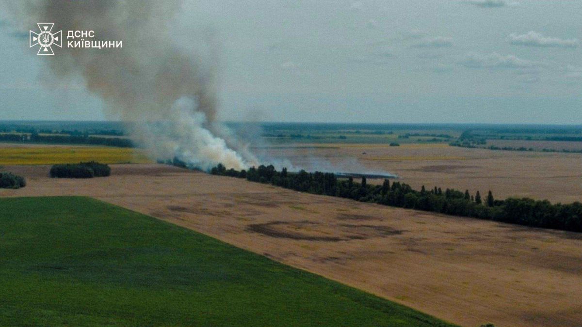 Рятувальники ліквідували пожежу на Броварщині: горіла пшениця Рятувальники ДСНС гасять пожежу на пшеничному полі біля села Гоголів на Броварщині, вигорів 1 гектар