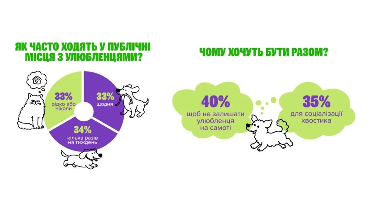 MasterZoo та Suziria Group розробляють перший петфрендлі гайд для бізнесу Інфографіка опитування MasterZoo квітень 2026: 67% власників щодня або кілька разів на тиждень беруть улюбленців у публічні місця