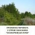 Природний ландшафт заказника «Осокорківські луки» у Києві — луки, дерева та польова дорога, яку захищають від забудови