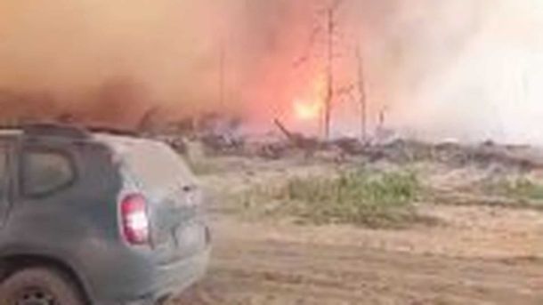 Пожежа на вул. Милославська у Деснянському р-ні: трав'яний настил на 1200 кв. м Рятувальники ДСНС гасять пожежу в Чорнобильській зоні відчуження на Київщині під час сильного вітру