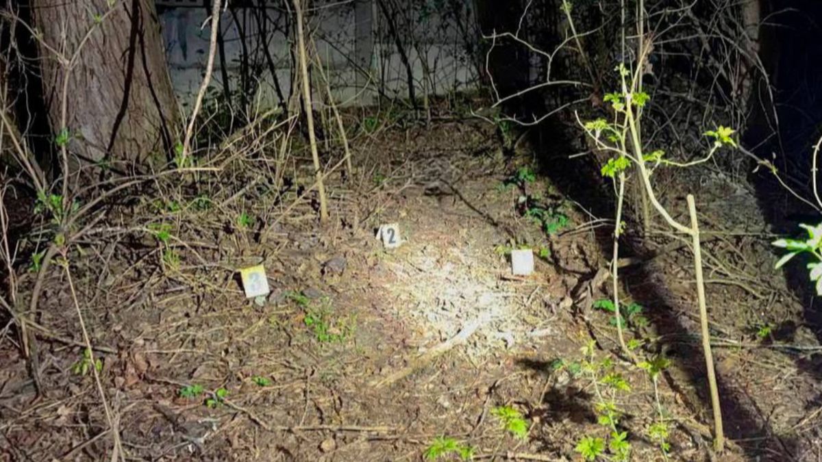 Місце злочину на вулиці Лисогірській у Голосіївському районі Києва, де поліцейські затримали підозрюваного у зґвалтуванні