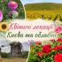 Квітучі локації Київщини: жоржини, соняшникове поле, троянди та вітряк у Пирогові — колаж для літнього гіду по паркам і природних зонах