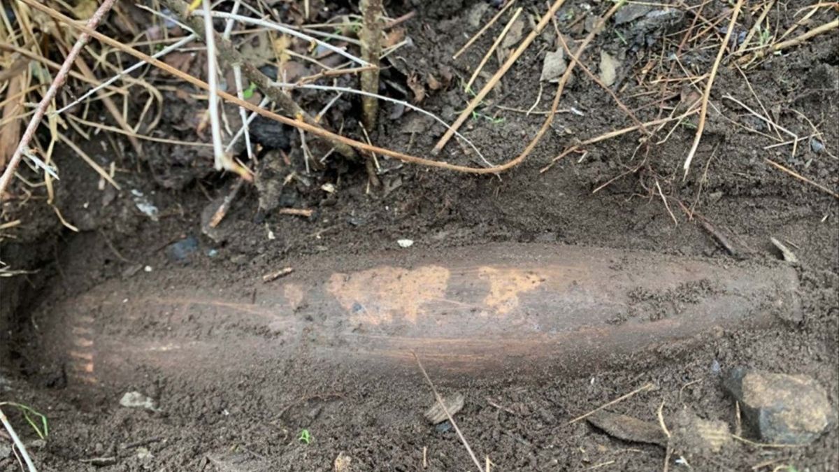Обережно на подвір’ях: під Києвом у Мощуні знайшли вибухівку Артилерійський снаряд у землі