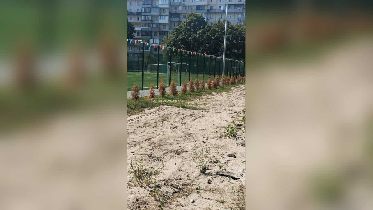 Ліцей №29 на Мінському масиві: тротуар звузили вдвічі, а туї засохли Мешканці Мінського масиву скаржаться на наслідки капітального ремонту стадіону та прилеглої території ліцею №29 на Оболоні: тротуар біля навчального з