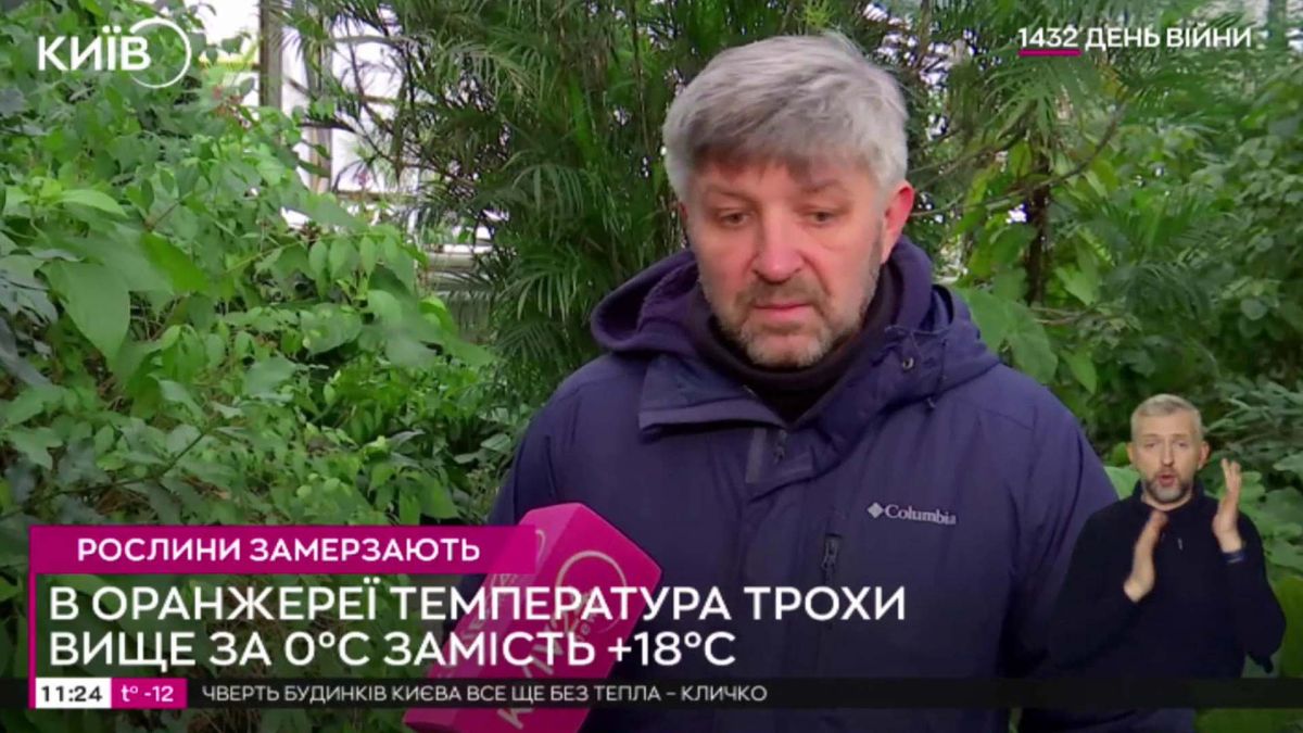 У ботсаду Гришка вимерзають тропічні рослини