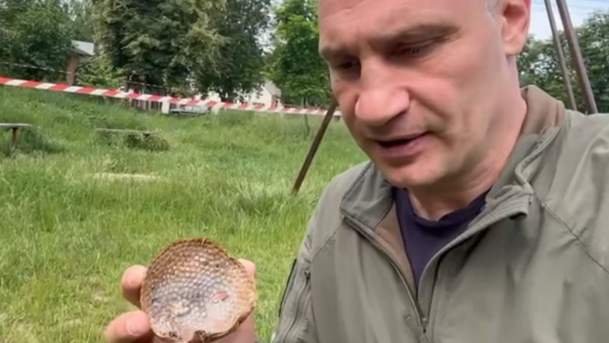 Росія атакувала Нивки касетними боєприпасами — Кличко Росія атакувала Нивки касетними боєприпасами — Кличко