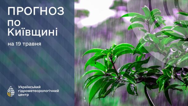 Дощовий старт тижня: на Київщині знову прогнозують опади та вітер