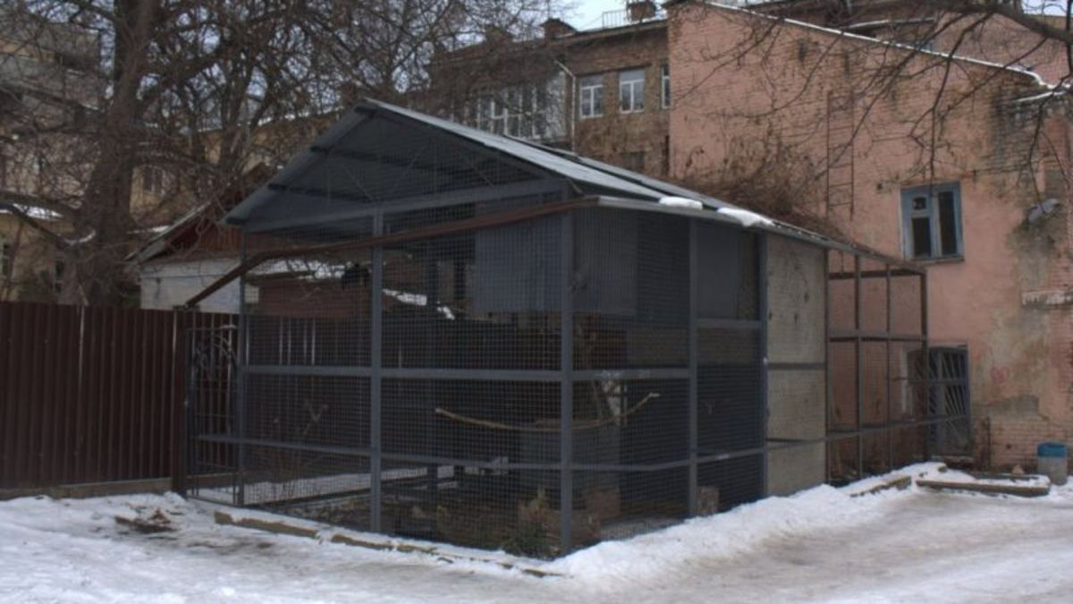 Петиція про збереження флігеля у «Дворику з воронами» набрала 6000 голосів Дворик з воронами на Рейтарській, 9