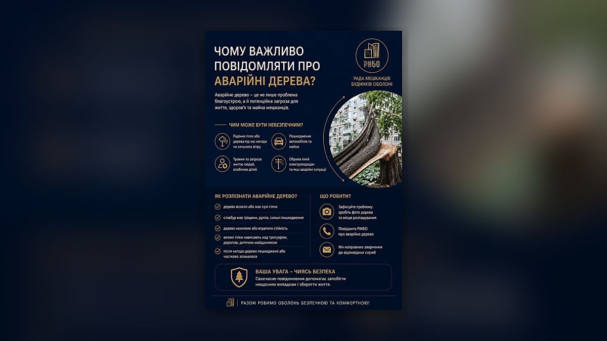Інфографіка Ради мешканців будинків Оболоні про те, чим небезпечні аварійні дерева, як їх розпізнати та куди повідомляти