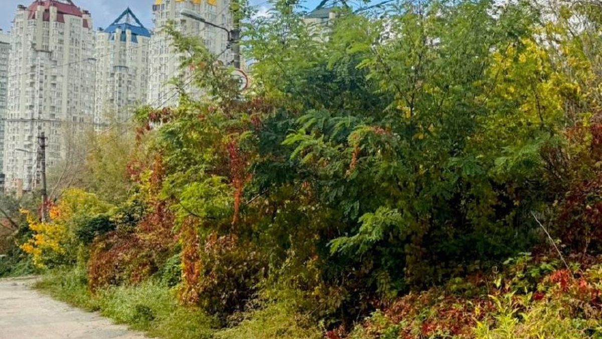 32 млн грн за ділянку: суд повернув громаді Києва 0,7 га у С