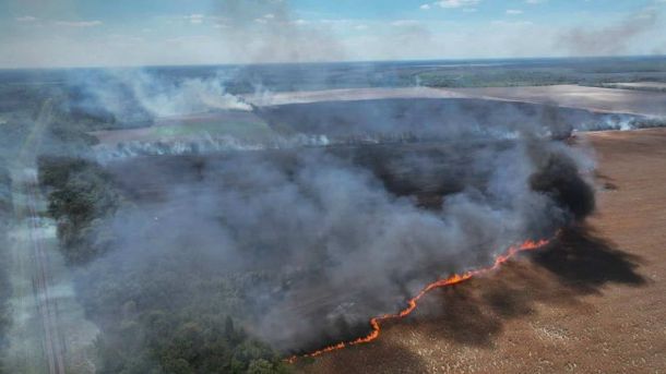 Пожежа на Фастівщині: 120 га і знищений комбайн