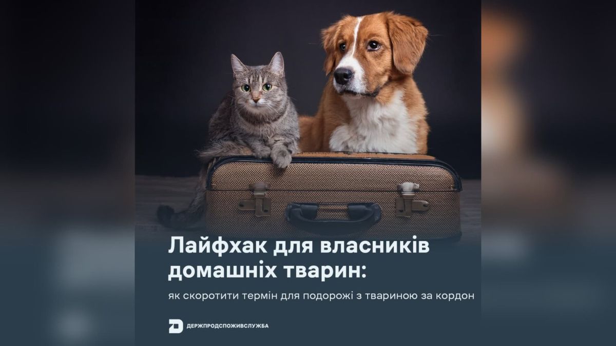 Подорож з твариною за кордон: як скоротити 4 місяці до кількох діб Подорож з твариною за кордон: як скоротити 4 місяці до кількох діб