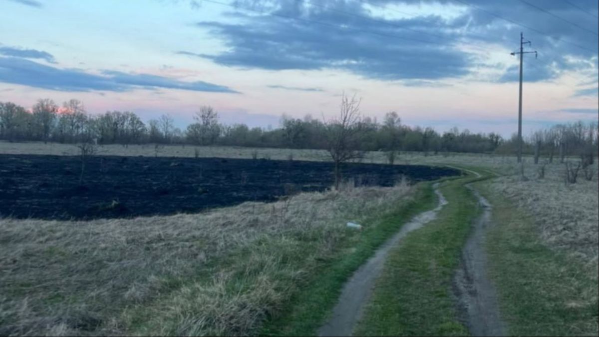 Випалена трава на відкритій місцевості поблизу річки в селищі Іванків Вишгородського району після загоряння від феєрверку