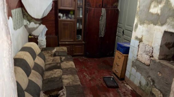 Суд відклав повернення 16 га Протасового Яру громаді до 8 вересня Близько 30 доберманів у розпліднику Солом'янського району Києва утримувались в антисанітарних умовах — поліція відкрила провадження