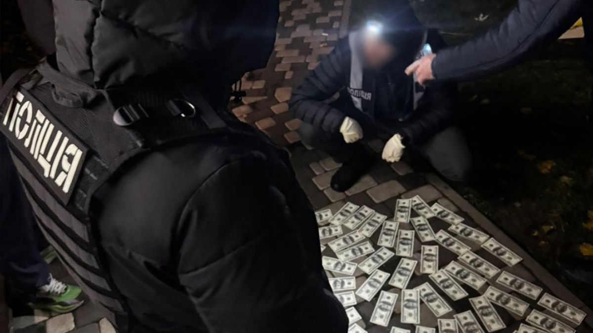 За 6500 доларів до Європи: у Києві викрили «коучів» з гайдом для втікачів за кордон Поліцейські біля вилучених грошей, розкладених на асфальті