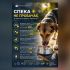 Головні новини Києва | Kyiv.News Інфографіка Держпродспоживслужби про захист тварин від спеки із зображенням собаки, яка п'є воду з миски на вулиці