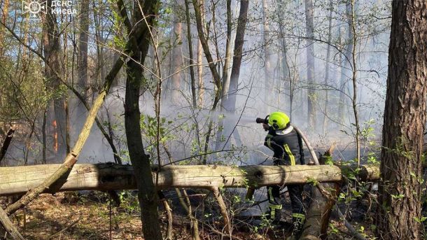 вогнеборець гасить полум'я у лісі