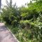 Вознесенський узвіз у центрі Києва, де прокуратура оскаржила реєстрацію неіснуючої будівлі площею 250 кв.м