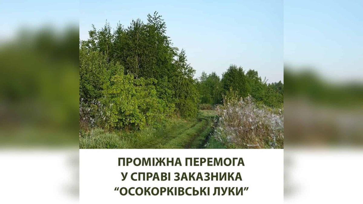 Природний ландшафт заказника «Осокорківські луки» у Києві — луки, дерева та польова дорога, яку захищають від забудови