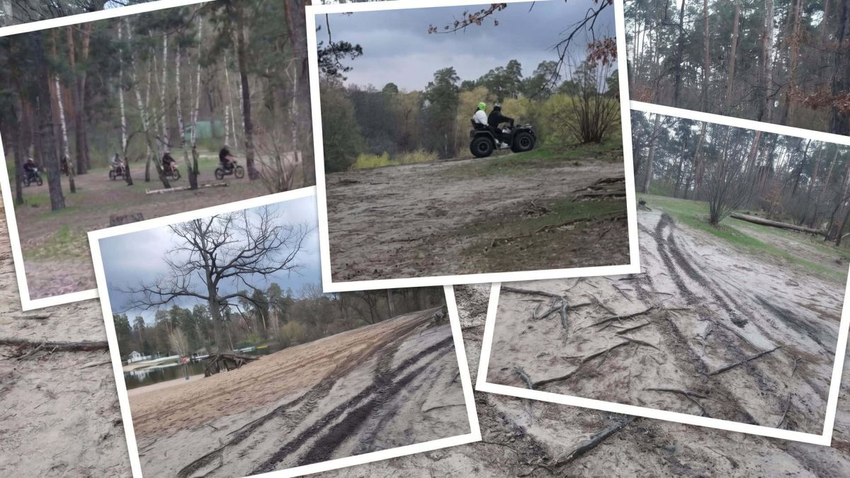 Квадроцикли і мотоцикли їздять по лісу Пущі-Водиці, руйнуючи ґрунт і коріння дерев під час сезону тиші 18 квітня 2026 року в Києві