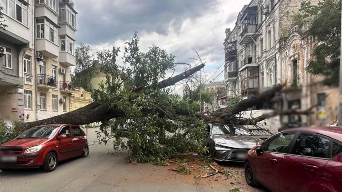На Ярославській у Києві впало дерево, перекрито рух транспорту Перекрита вулиця Ярославська у Києві через упале дерево, поліція викликала відповідні служби