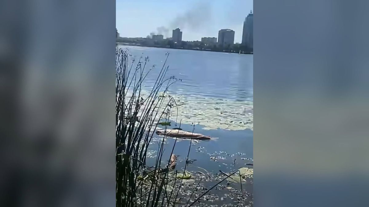 Мертва риба на березі затоки Оболонь біля Вільнюського скверу, на задньому плані — дим над Києвом, кадр із відео у соцмережах