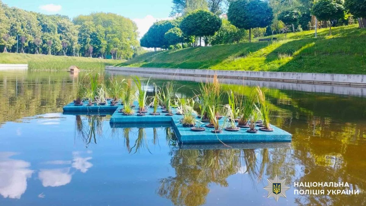 Парк Орлятко в Києві з великим озером і красивим озелененням