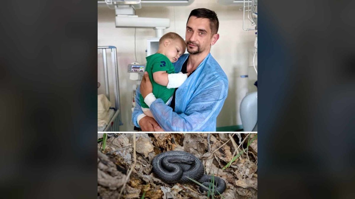 У Охматдиті врятували дворічного хлопчика після укусу гадюки Батько тримає на руках дворічного хлопчика з перев’язаною ногою в лікарні Охматдит поруч із фото гадюки