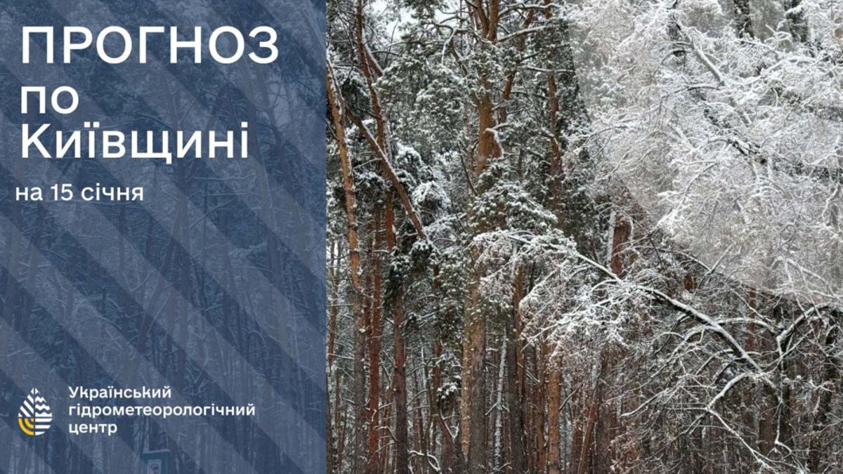 Прогноз погоди на 15 січня. Інфографіка Укргідрометцентру із зображенням засніженого лісу