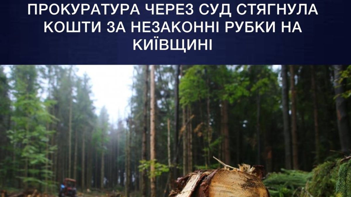 Господарський суд Київської області стягнув понад 5 млн грн за незаконну вирубку лісу на Київщині