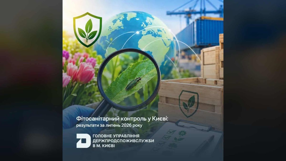 Фітосанітарний контроль Києва за липень: 8 порушень, 623 тис. рослин Інфографіка фітосанітарного контролю в Києві за липень 2026 року
