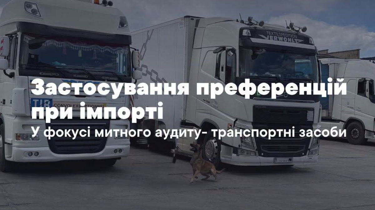 Вантажівки на майданчику митного контролю, на передньому плані службовий пес перевіряє транспорт під час митного аудиту
