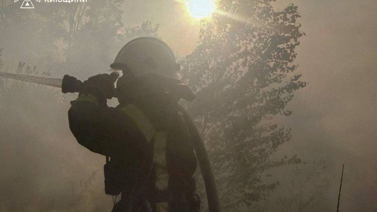 Нові Петрівці: рятувальники ліквідували пожежу на 3 га лісу Рятувальники гасять пожежу на несанкціонованому сміттєзвалищі у селі Нові Петрівці Вишгородського району, площа горіння — 1,8 га