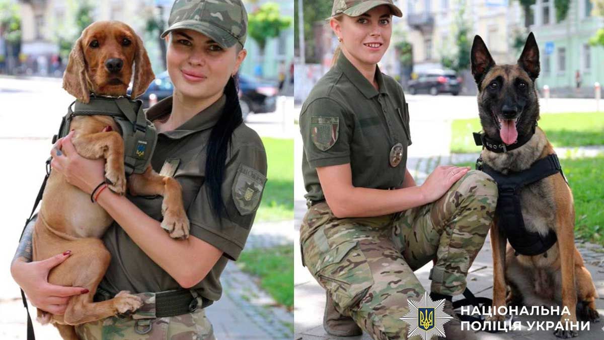 У Святошинському районі службові пси Чейз і Кокос викрили студента-наркоділка