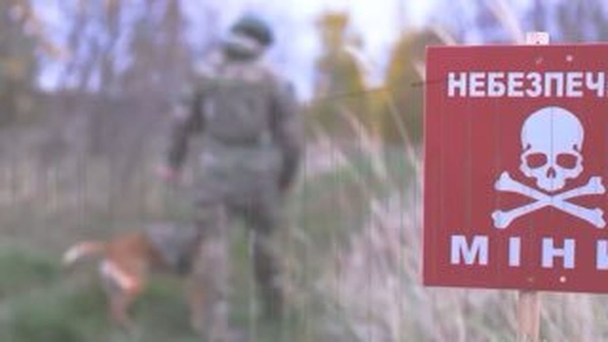 Підпал авто та напад на старосту: хроніка поліції Київщини Поліцейські Київщини затримали підозрюваних у нападах і грабежі впродовж тижня, серед подій — ДТП із пішоходом і підпал авто