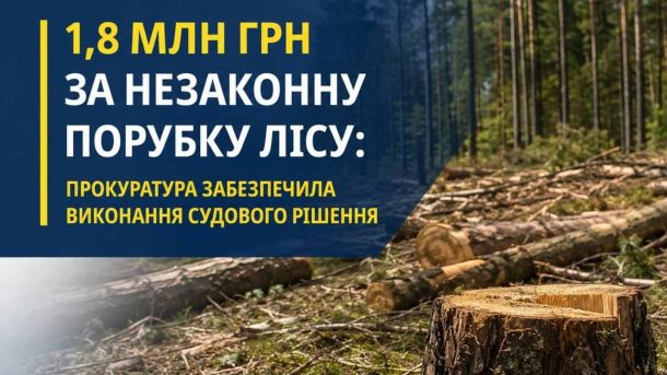 Зрубані дерева в лісовому фонді Київщини — ДП «Ліси України» відшкодувало 1,8 млн грн збитків за порубку 134 дерев