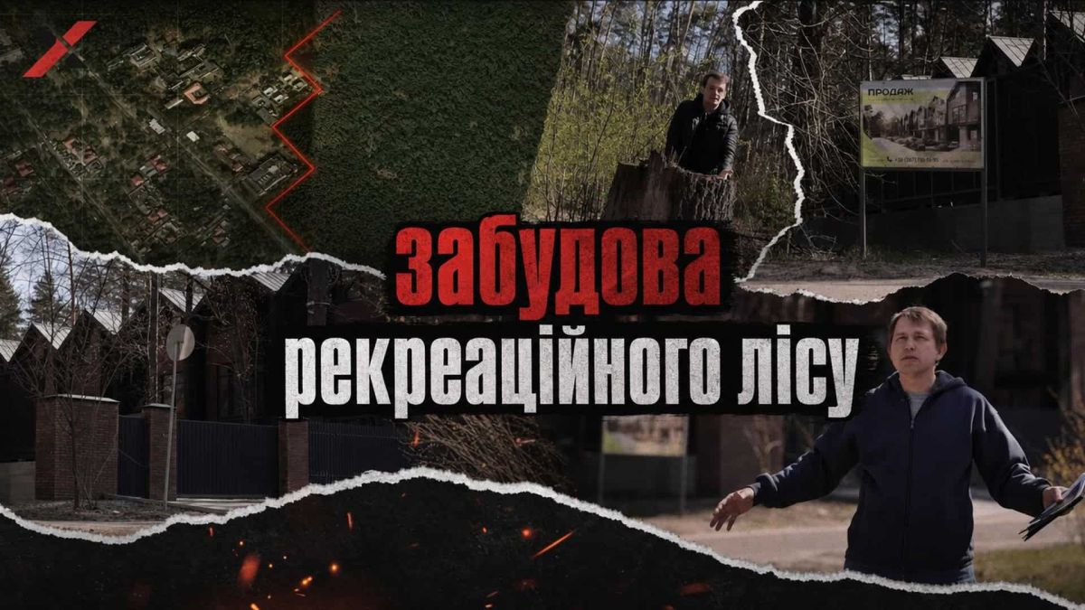 Колаж з розслідування про незаконну забудову рекреаційного лісу Пущі-Водиці — будівлі в лісі, рекламний щит «Продаж», журналіст на місці подій