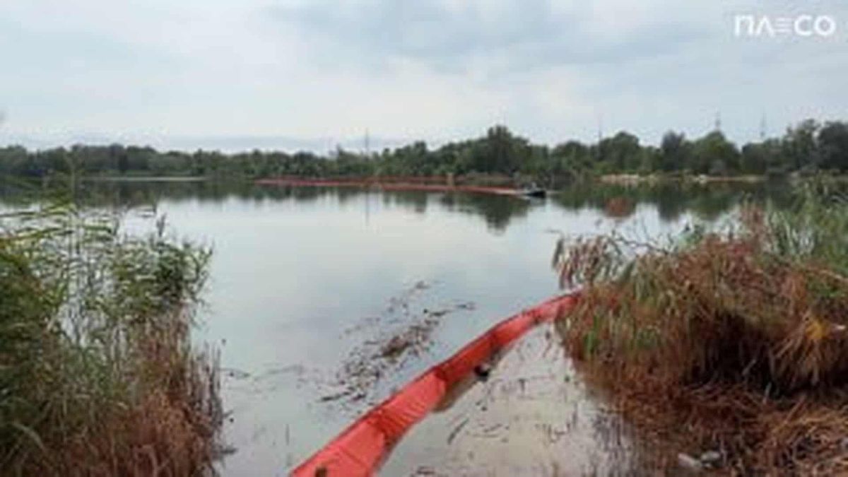 Фахівці КП «Плесо» відновлюють загороджувальні бони на озері Кирилівське після забруднення нафтопродуктами внаслідок ворожої атаки 8 серпня