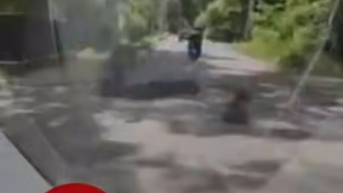ДТП у Ворзелі: мопедист збив дівчинку на вулиці Шевченка Кадр з відеореєстратора: мопедист збиває дівчинку на вулиці Шевченка у Ворзелі Бучанського району