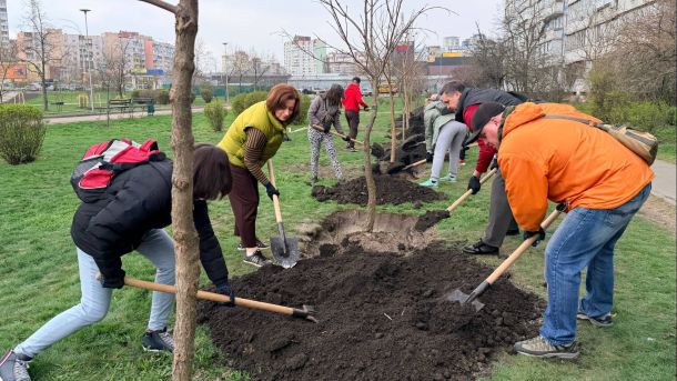 Мешканці Деснянського району висаджують дерева у парку імені Архітектора Ніколаєва на Троєщині