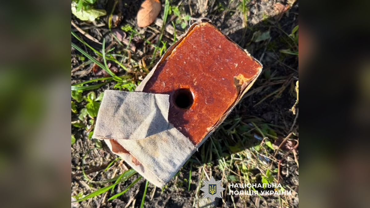 Тротилова шашка в частково розірваній тканинній обгортці на траві — вибухівка, яку вилучили в киянина
