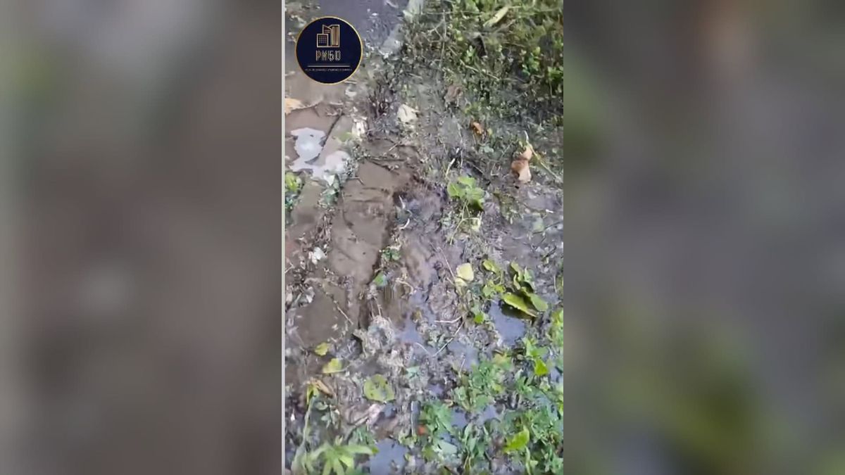 Оболонський проспект, 10в: п’яту добу з-під землі б’є вода, служби мовчать Розмитий вологий ґрунт і калюжі води на території біля житлового будинку на Оболонському проспекті, 10в, спричинені підземною витоком