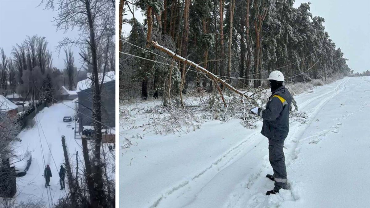 Електричні дроти на ЛЕП і працівник ДТЕК