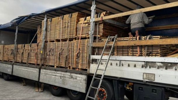 Дубові лісоматеріали невстановленого походження, вилучені митниками під час контрабанди з Києва