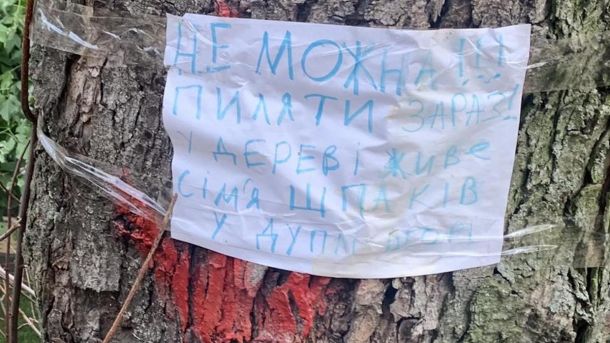 У Києві судитимуть двох ділків, які розповсюджували «Альфа-PVP» через таксі та пошту У Києві судитимуть двох ділків, які розповсюджували «Альфа-PVP» через таксі та пошту