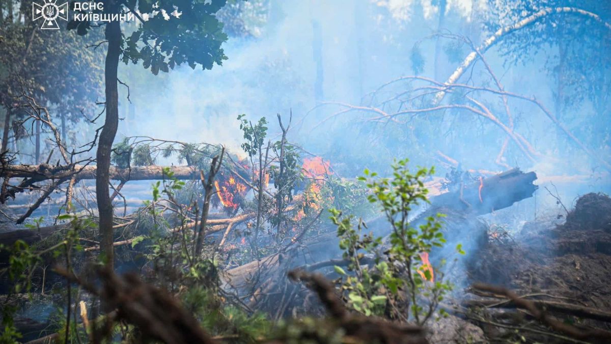 Рятувальники ДСНС Київщини гасять пожежу лісової підстилки в Чорнобильській зоні відчуження, два осередки ліквідовано