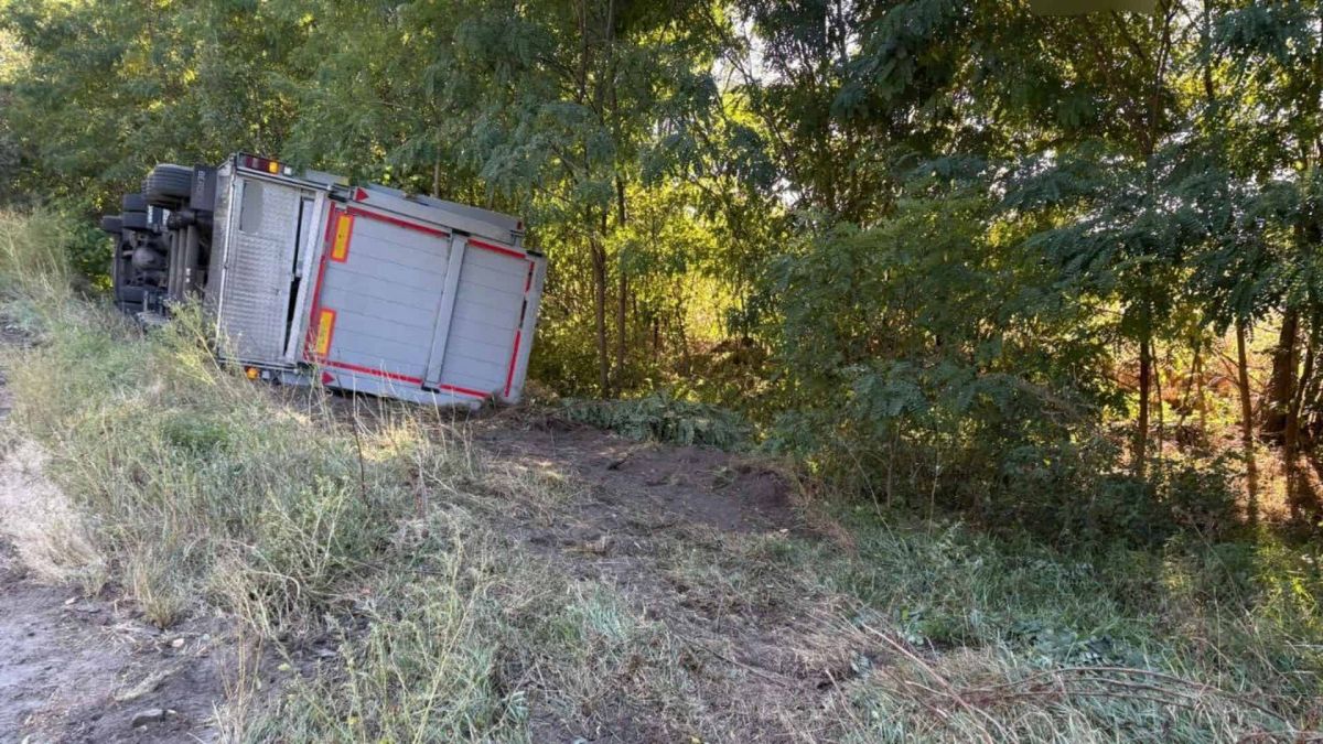 Вантажний автомобіль перекинувся в кювет на узбіччі дороги серед дерев