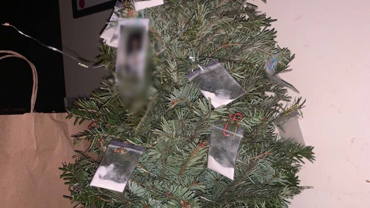 Новорічна ялинка прикрашена пакунками з наркотичними речовинами у квартирі затриманого іноземця в Шевченківському районі Києва