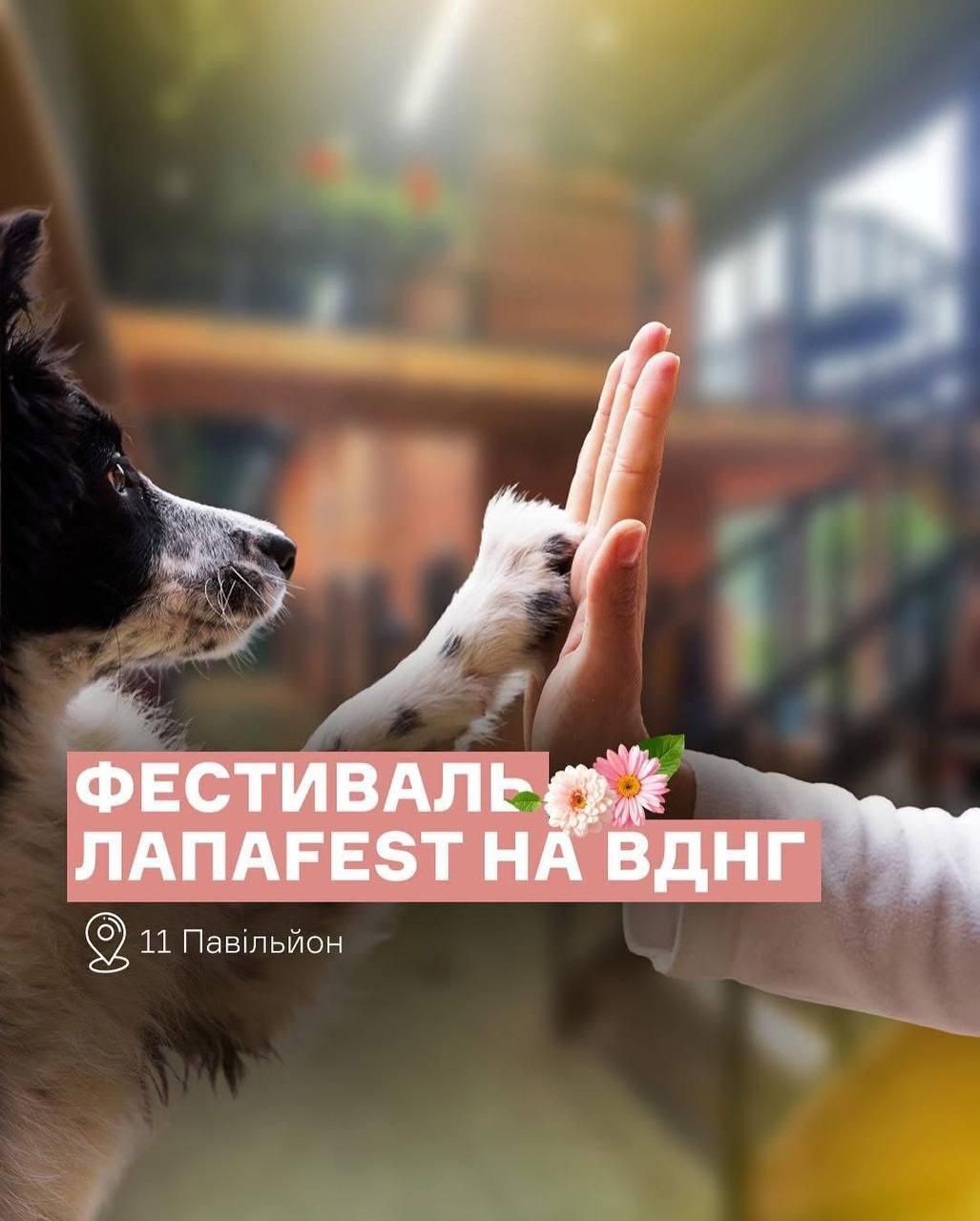 Афіша фестивалю